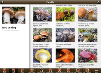 Picture of FungiOz IPAD screen showing scroll down menu icons for Australian Cortinarius fungi
