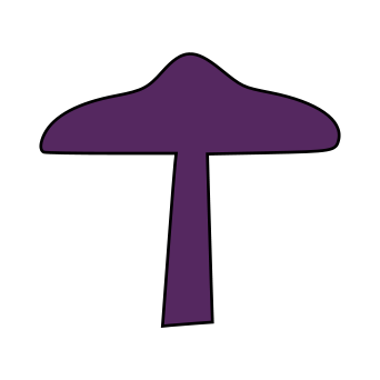 An umbonate fungi cap shape