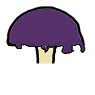An appendiculate fungi cap edge