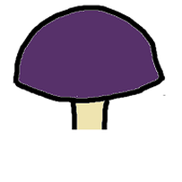 Entire smooth Fungi cap edges