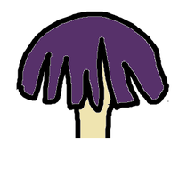 A  Rimose mushroom cap margin has radial splits