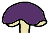 An undulate fungi cap edge