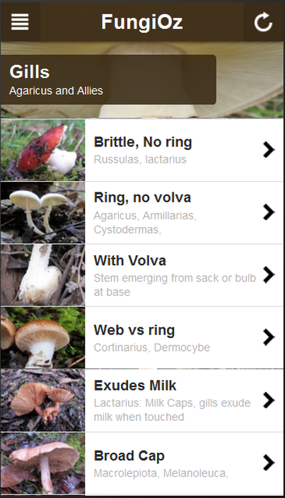 Picture of FungiOz  scroll down screen showing categories within gilled  mushrooms