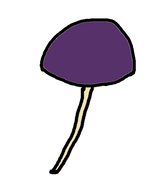 A fibrous fungi stem